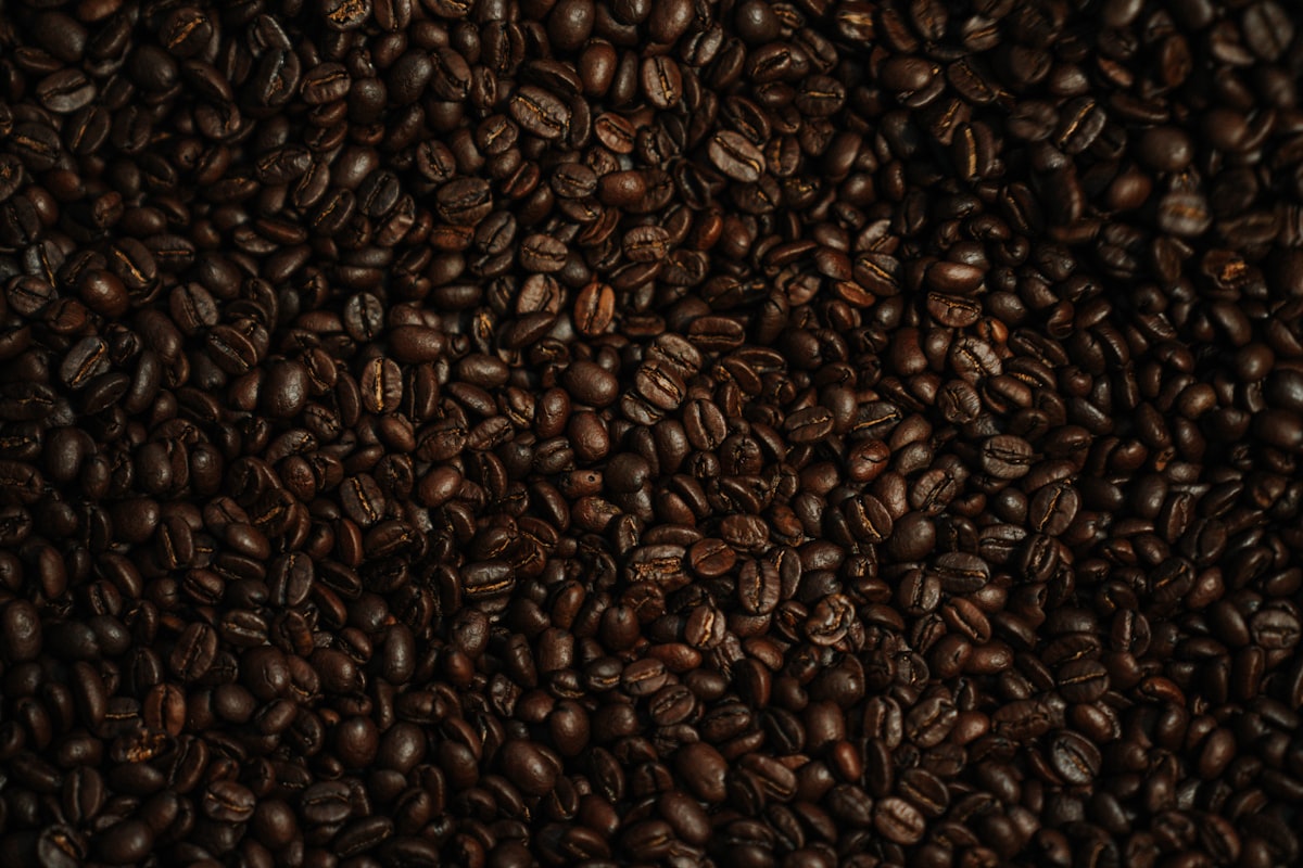 Close-up of freshly roasted coffee beans with visible oil sheen